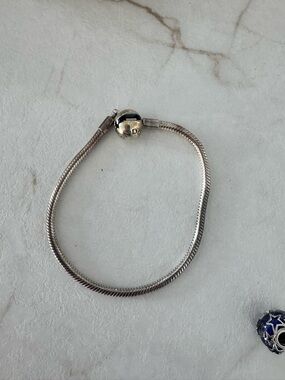 Pandora Silver Snake Chain Bracelet